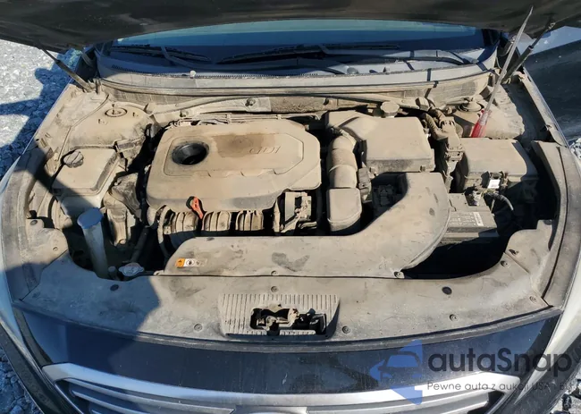 5NPE24AF8FH215552: 89502515