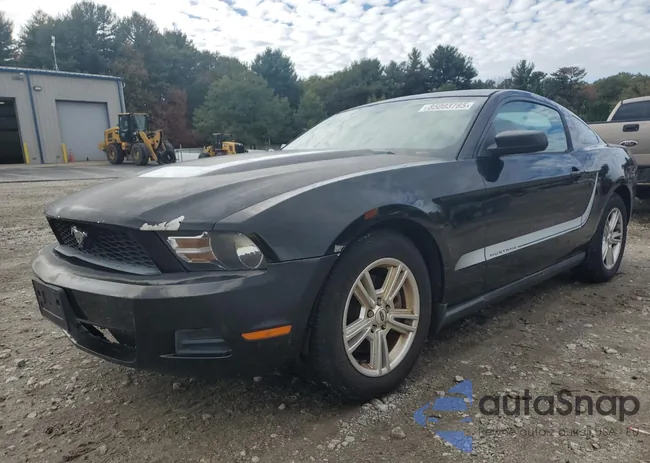 1ZVBP8AM3C5204218: 85003785