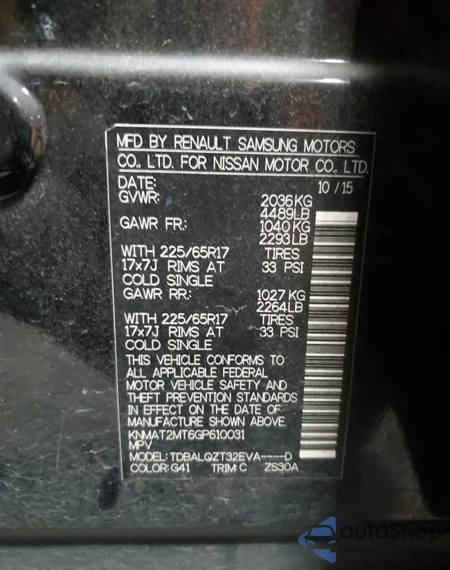 KNMAT2MT6GP610031: 85596005