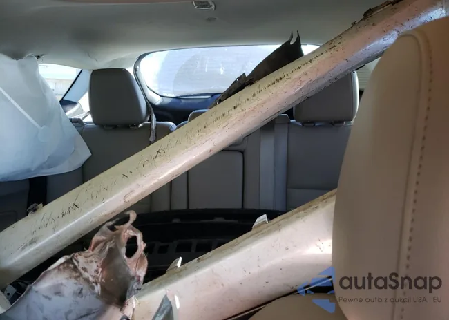 1FADP5BU0DL542753: 89642915