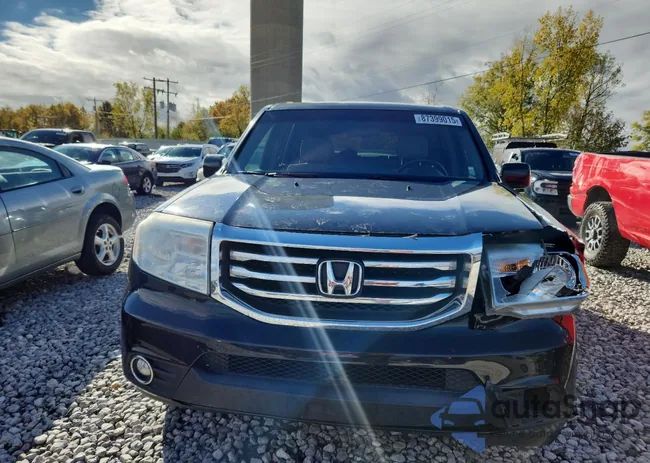 5FNYF4H41EB031735: 87399015