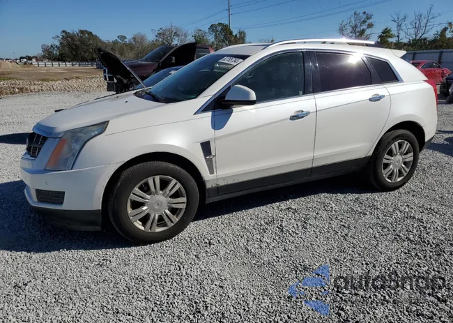 3GYFNAEY1AS619419: 82765784