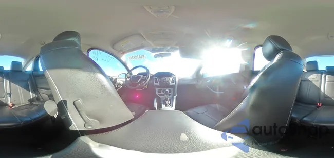 1FADP3F21DL308618: 81618934