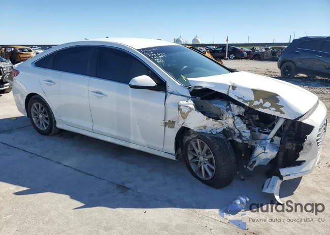 5NPE24AF7KH786864: 80917764