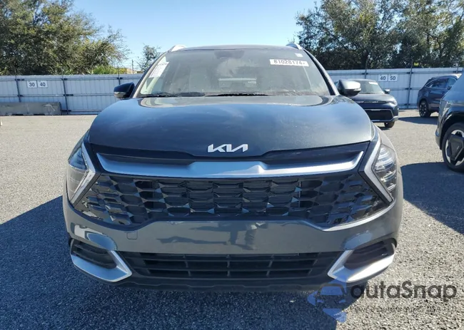 KNDPVCDF1S7344222: 81028174