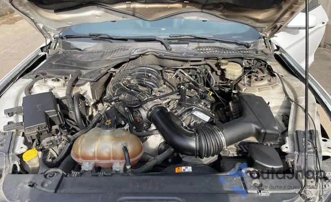 1FA6P8AM3G5298472: 83006614