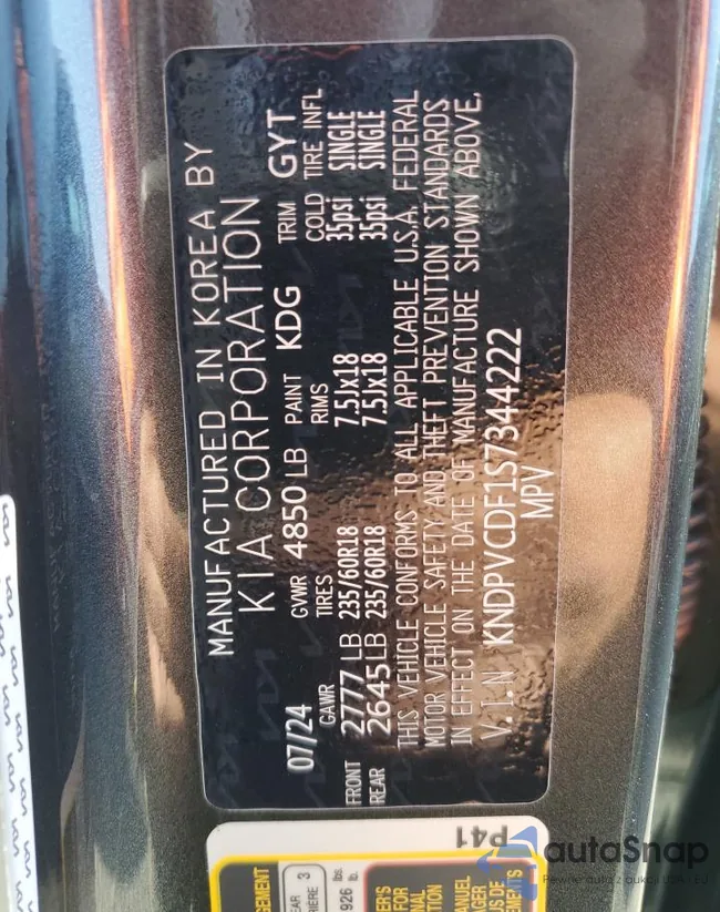 KNDPVCDF1S7344222: 81028174