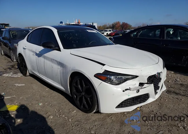 ZARFAMBN8L7634911: 80492774