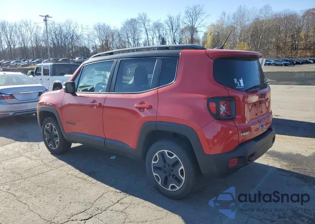 ZACCJBCT1FPC01436: 46023096