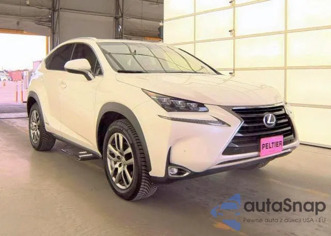 JTJBJRBZ5G2031987: 91519335