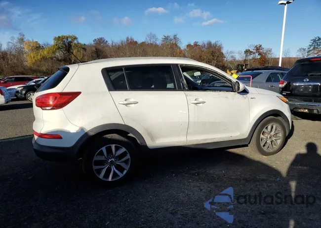 KNDPBCAC3G7797509: 90781385