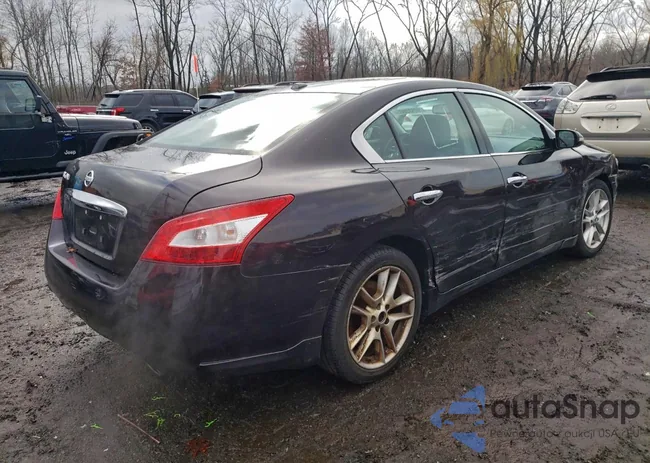 1N4AA5AP9BC826704: 92923605