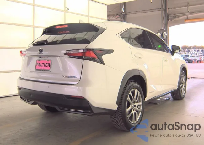 JTJBJRBZ5G2031987: 91519335