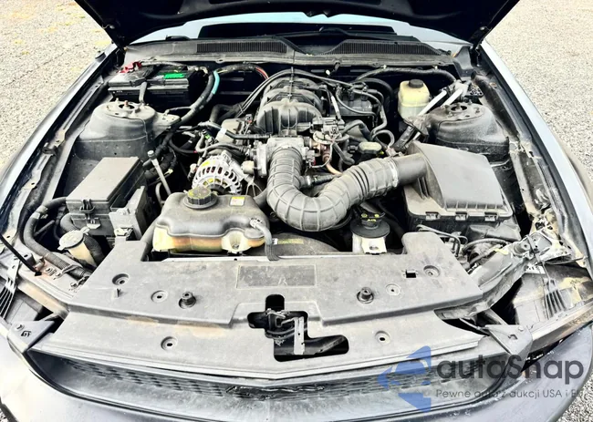 1ZVFT84N165166218: 91340135