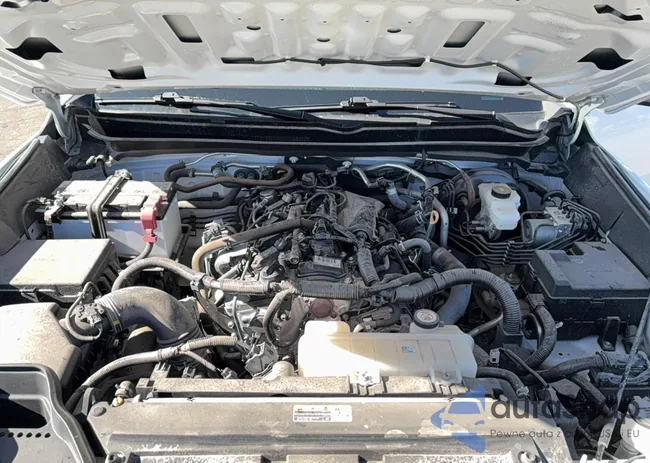 3TYKB5FN8RT006646: 91663675