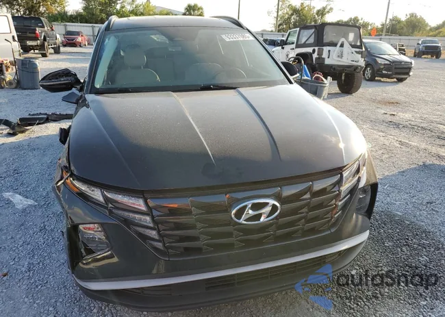 5NMJF3AE8PH169921: 93337085