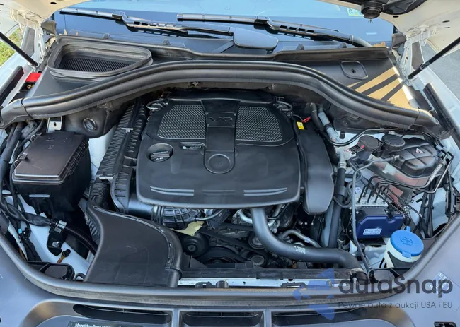 4JGDA5HB2FA618064: 91685465