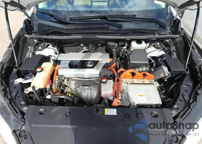 JTJBJRBZ5G2031987: 91519335