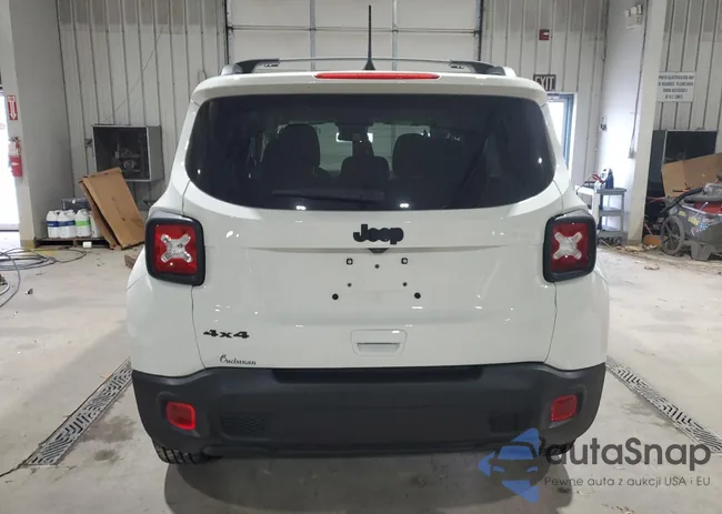 ZACNJDB16PPP61066: 91862275