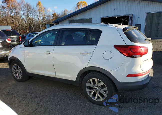 KNDPBCAC3G7797509: 90781385