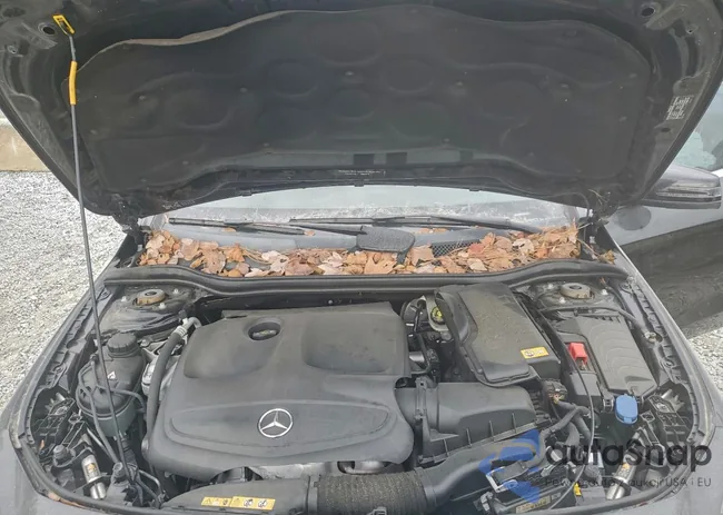 WDDSJ4EB3FN169101: 93292475