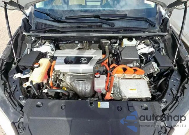 JTJBJRBZ5G2031987: 91519335