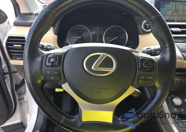 JTJBJRBZ5G2031987: 91519335