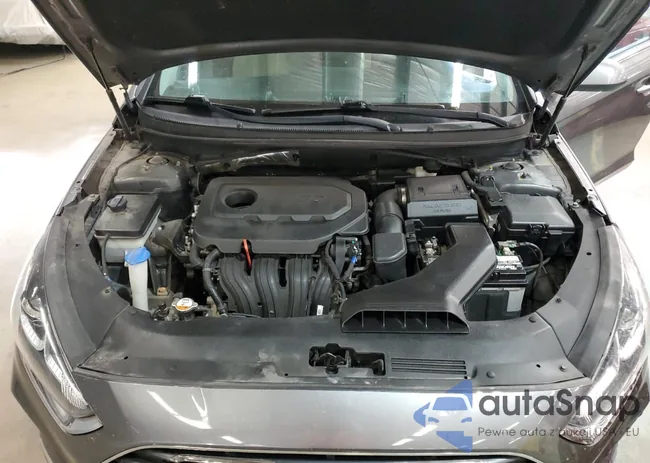 5NPE24AF8KH776408: 91607255