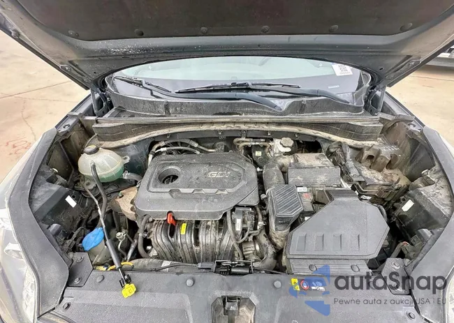 KNDPNCAC1H7115753: 91518805