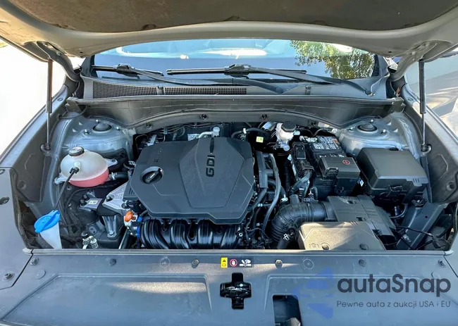 5NMS34AJ0MH310413: 91517905