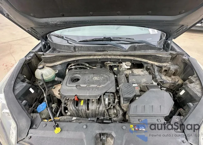 KNDPNCAC1H7115753: 91518805