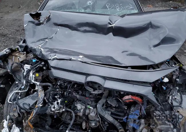 2T3P1RFVXPW384961: 92865115