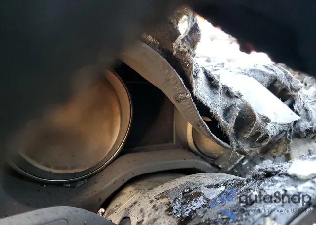 WDDSJ4EB0EN041915: 86304124