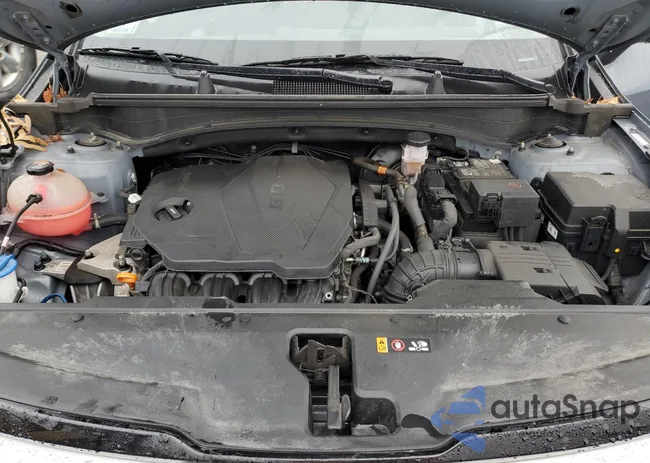 5XYK3CAF9PG012656: 84260034