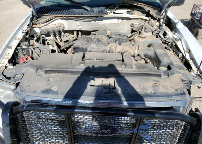 1FMJK1J51BEF19381: 83399724