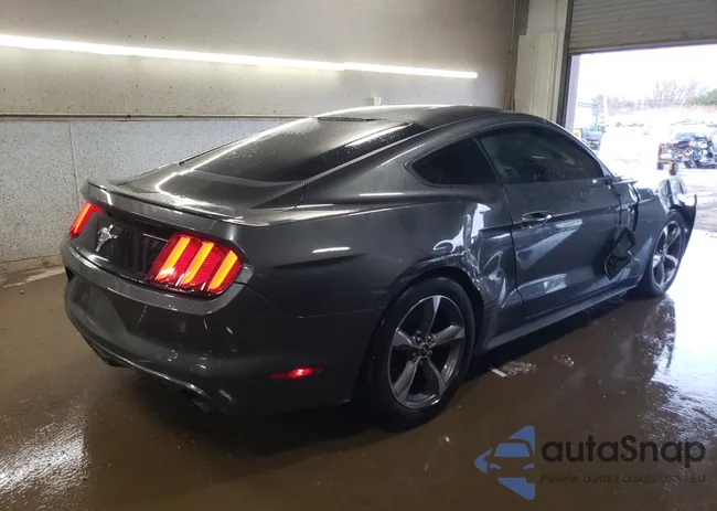 1FA6P8AM5G5289532: 86502004