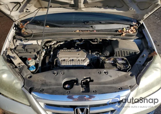 5FNRL38205B093617: 49765025