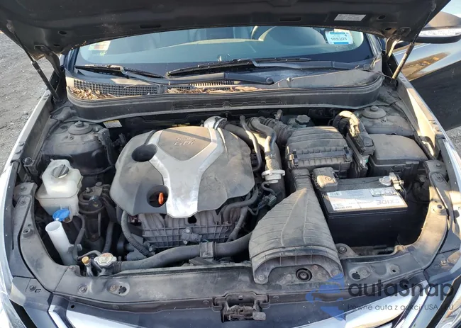 5NPEC4AB7DH618199: 86961614