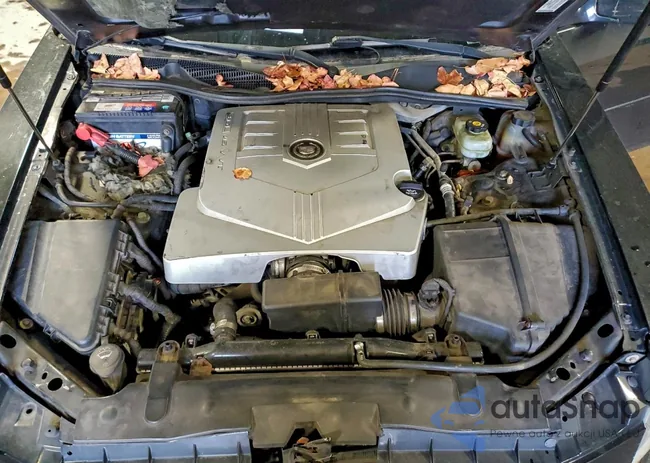 1G6DM577740110333: 99046125