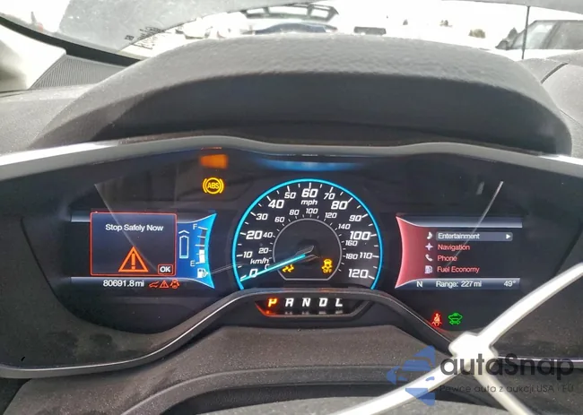 1FADP5CU8GL111757: 94821005