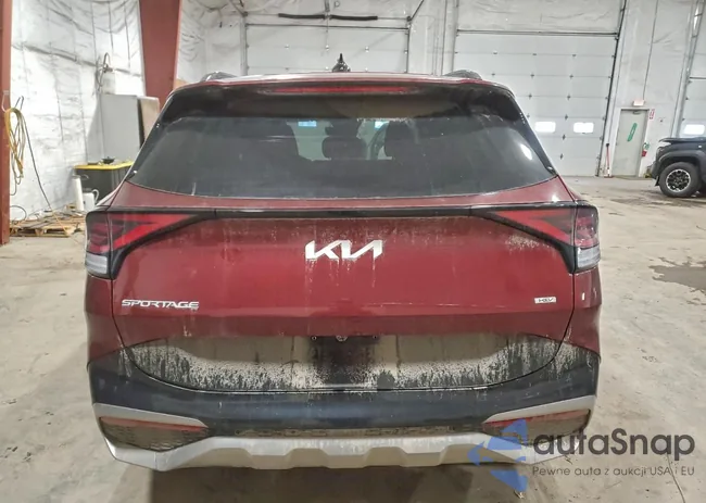 KNDPXCDG8R7134908: 97929455