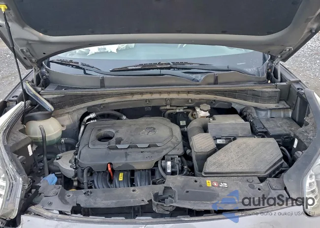 KNDPM3AC2H7299264: 96248915