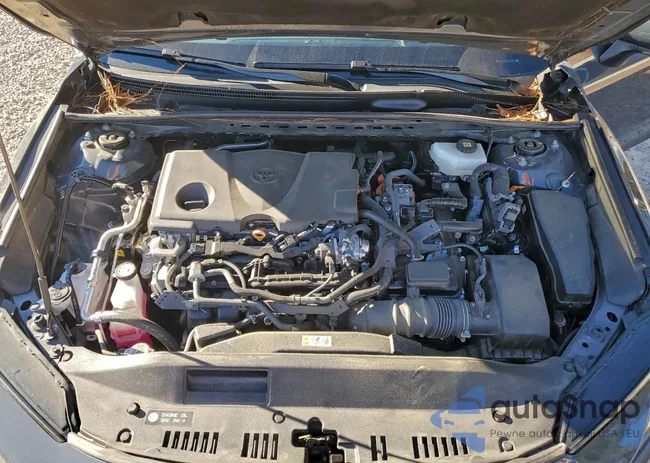 4T1DAACK0SU087553: 97013205