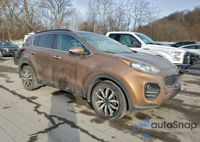 KNDPNCAC0J7404953: 97549255