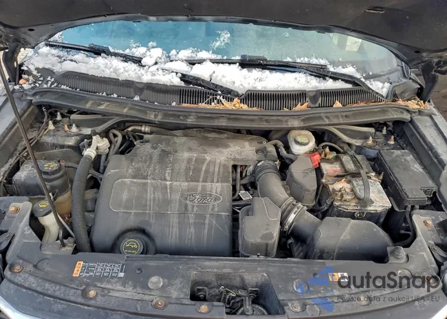 1FM5K8F86GGA63564: 96805215