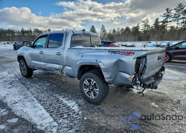 3TMDZ5BN0KM067730: 97845705