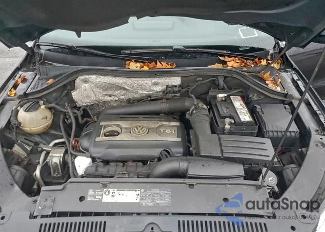 WVGAV7AX1BW513392: 95318655