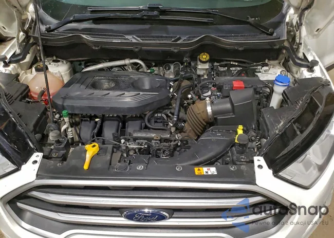 MAJ6S3GL4KC264304: 98035725