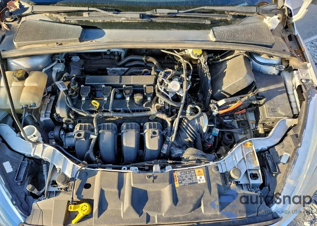 1FADP3F2XGL381619: 97365765