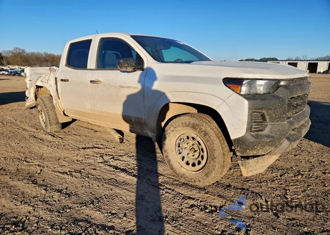 1GCPTBEK3P1269559: 98776765